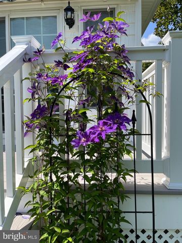 5995 BELL CREEK DR, Salisbury, MD 21801