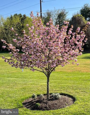 5995 BELL CREEK DR, Salisbury, MD 21801