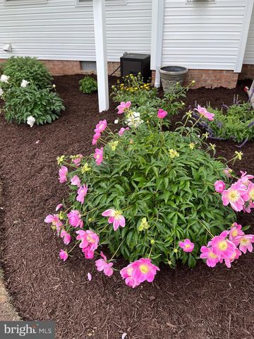 5995 BELL CREEK DR, Salisbury, MD 21801