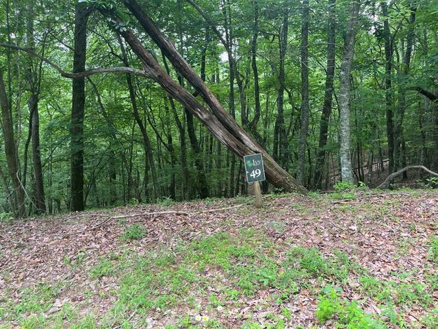 Lot 49 Burger Road, Murphy, NC 28906