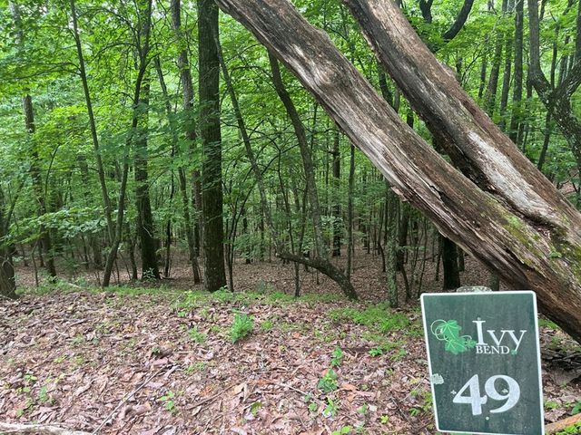 Lot 49 Burger Road, Murphy, NC 28906