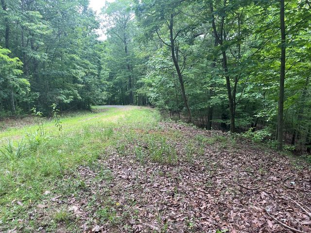 Lot 49 Burger Road, Murphy, NC 28906