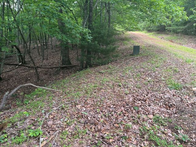 Lot 49 Burger Road, Murphy, NC 28906