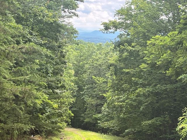 Lot 49 Burger Road, Murphy, NC 28906