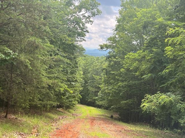 Lot 49 Burger Road, Murphy, NC 28906