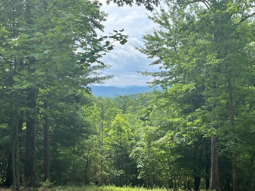 Lot 49 Burger Road, Murphy, NC 28906