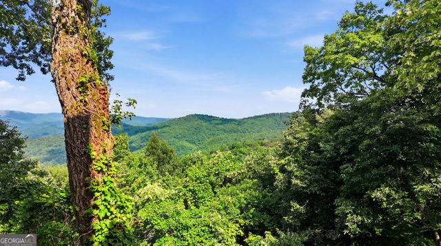 82 Appalachian Point, Sky Valley, GA 30537