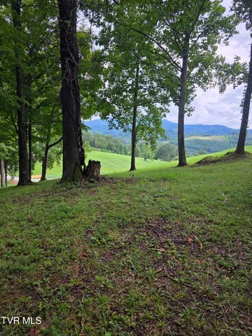 Lot 36 Summerfield Drive, Butler, TN 37640