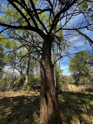 9877 County Road 112, Centerville, TX 75833