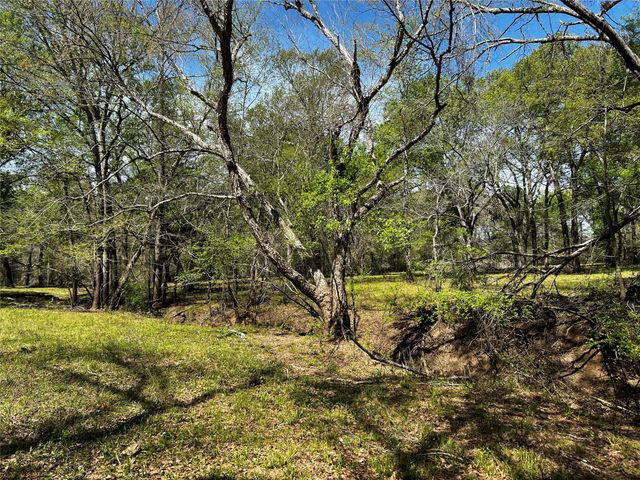 9877 County Road 112, Centerville, TX 75833