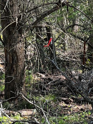 9877 County Road 112, Centerville, TX 75833