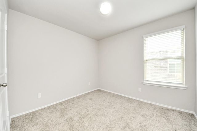 16916 Rich Pines Drive, Conroe, TX 77302