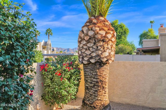 10460 E FANFOL Lane, Scottsdale, AZ 85258