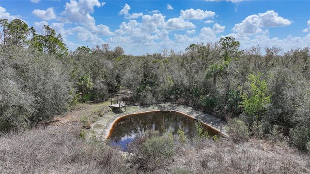 9796 SW SOUTHERN DREAMS ROAD, Arcadia, FL 34269