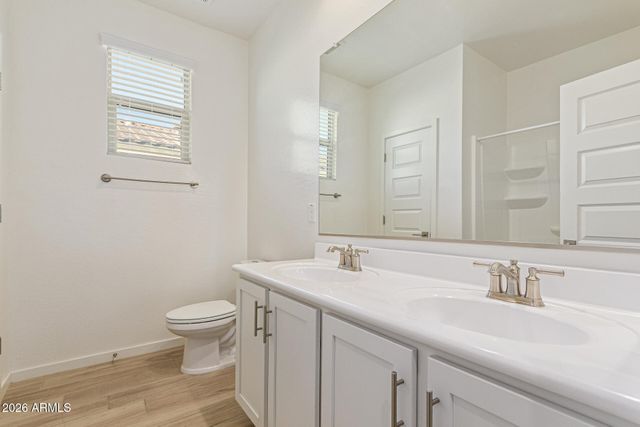 547 W Panola Drive, San Tan Valley, AZ 85140