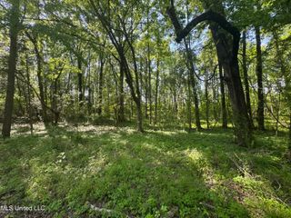 Old Hwy 471, Brandon, MS 39042