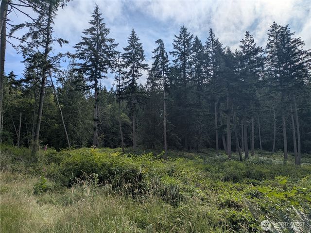 0 Maxwelton Road, Langley, WA 98260