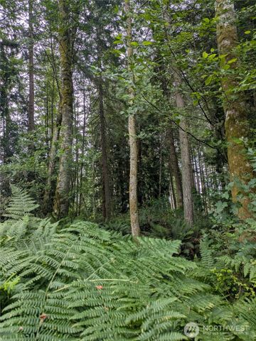 0 Maxwelton Road, Langley, WA 98260