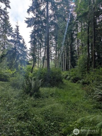 0 Maxwelton Road, Langley, WA 98260