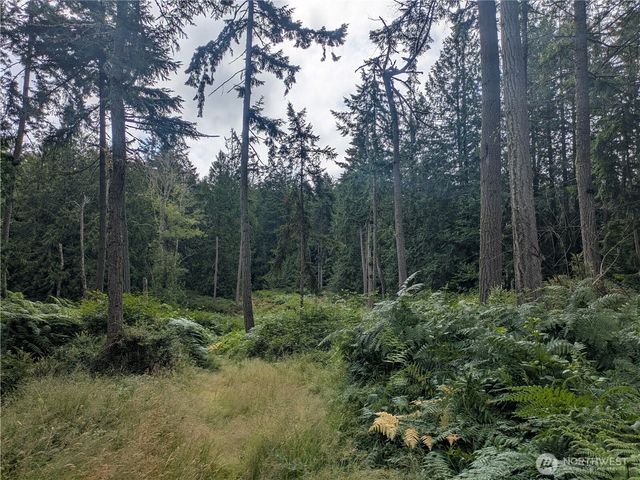 0 Maxwelton Road, Langley, WA 98260