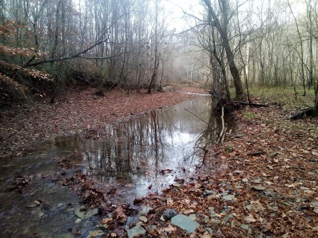 1666 Pointer Creek Road, Science Hill, KY 42553