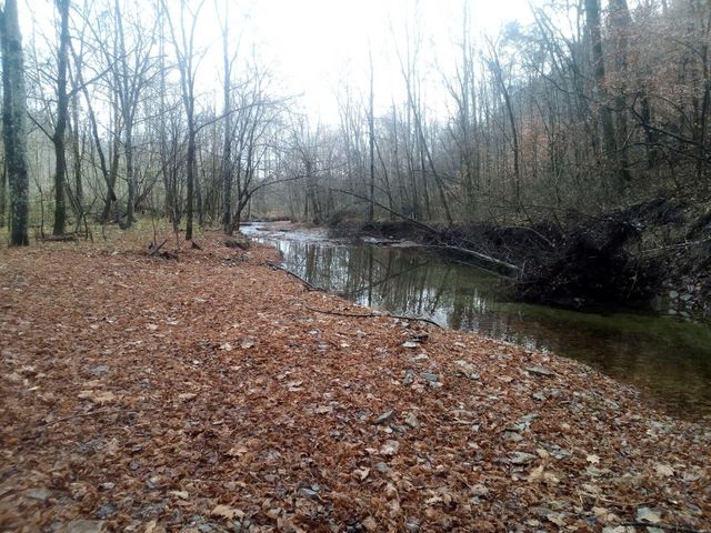 1666 Pointer Creek Road, Science Hill, KY 42553