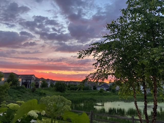 860 Roselyn Drive, Victoria, MN 55386