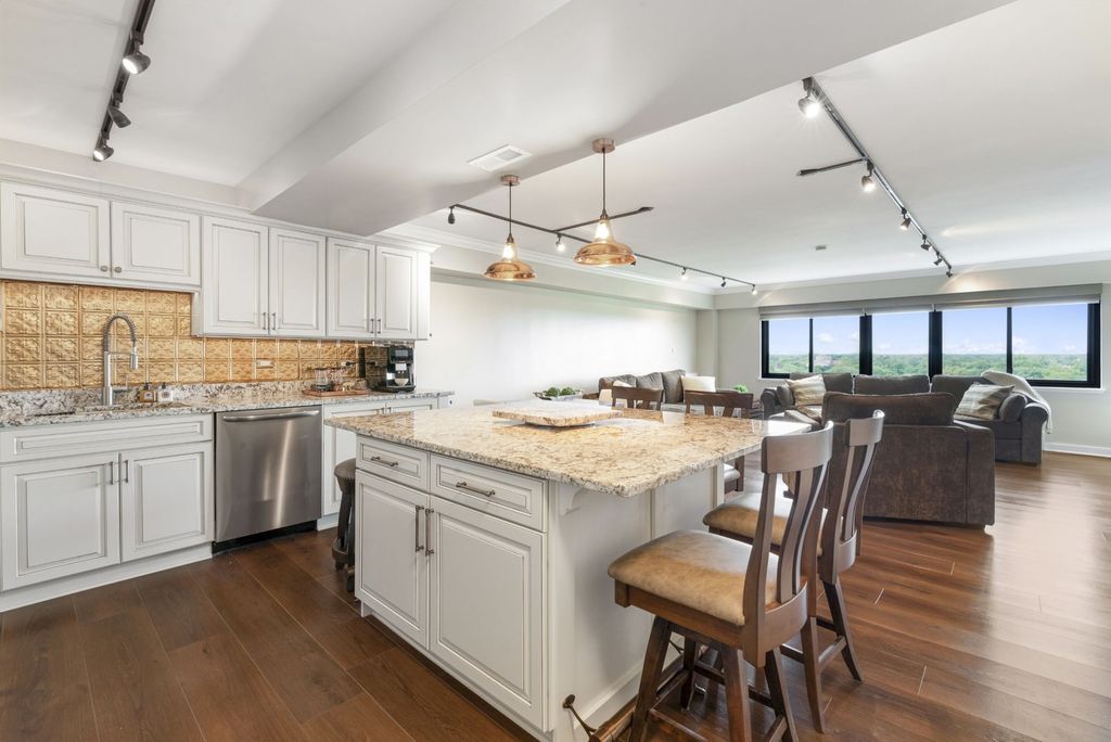 141 N LA GRANGE Road 1003, La Grange, IL 60525 — photo 4