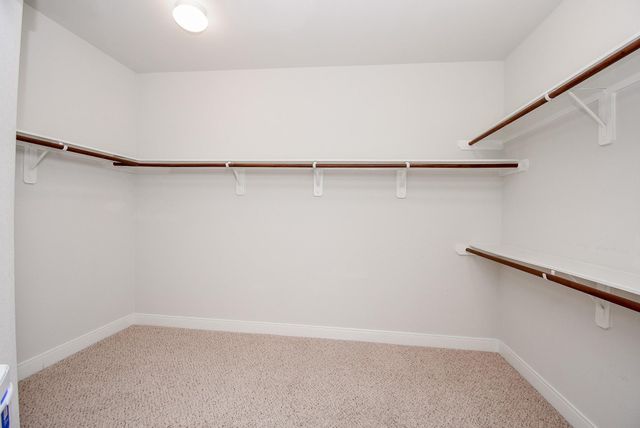 809 Cardinal Flower Drive, Richmond, TX 77469