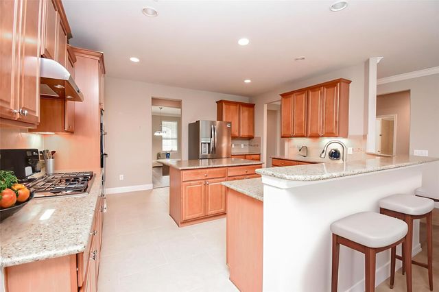 809 Cardinal Flower Drive, Richmond, TX 77469