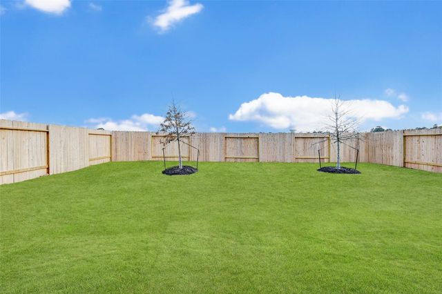 475 Dalloway Street, Montgomery, TX 77316