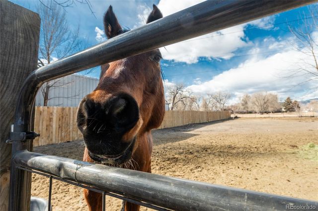 4695 Parfet Street, Wheat Ridge, CO 80033