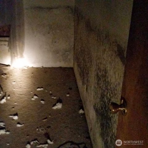 4557 33rd Avenue S, Seattle, WA 98118