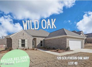 120 Southern Oak Way, Canton, MS 39046