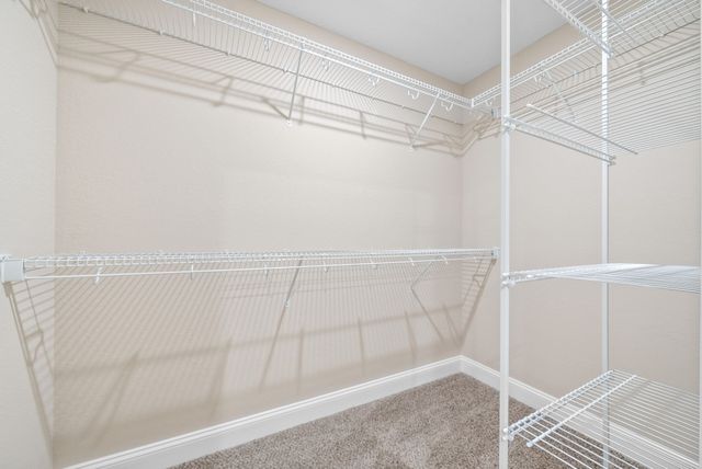 353 Cardinal Creek, Clarksville, TN 37040