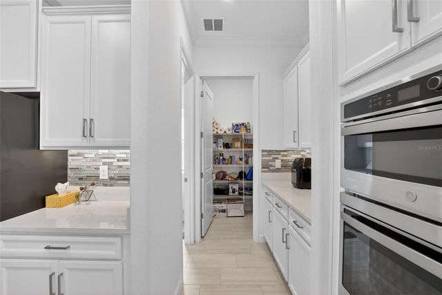 17316 SCUBA CREST STREET, Wimauma, FL 33598