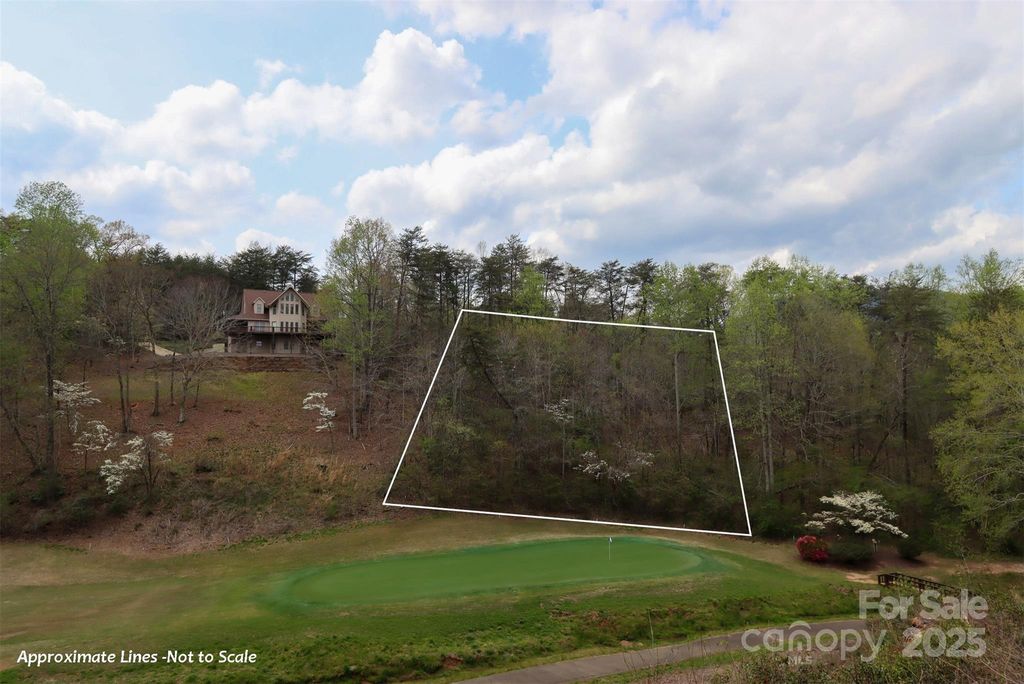 0 Mcintosh Circle, Lake Lure, NC 28746