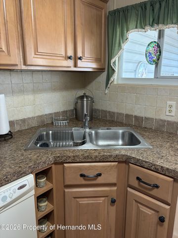 12389 Conde Drive, Brooksville, FL 34613