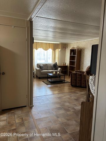 12389 Conde Drive, Brooksville, FL 34613