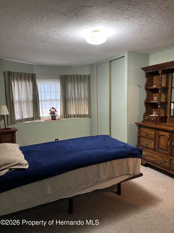 12389 Conde Drive, Brooksville, FL 34613