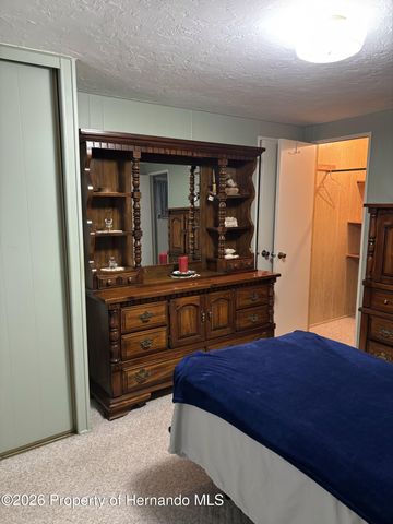 12389 Conde Drive, Brooksville, FL 34613