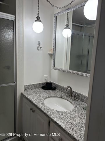 12389 Conde Drive, Brooksville, FL 34613