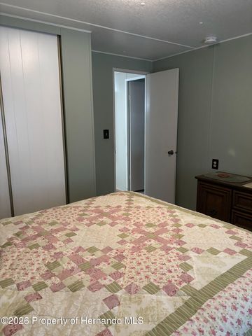 12389 Conde Drive, Brooksville, FL 34613