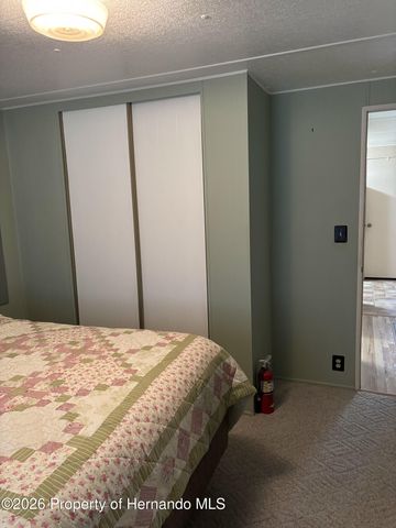 12389 Conde Drive, Brooksville, FL 34613