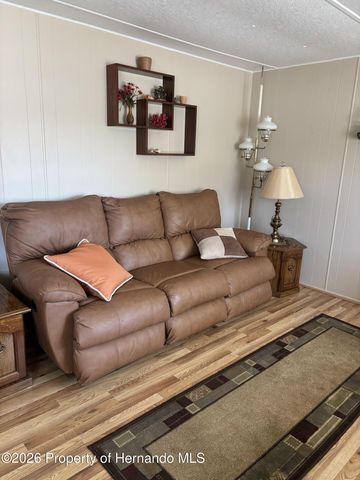 12389 Conde Drive, Brooksville, FL 34613