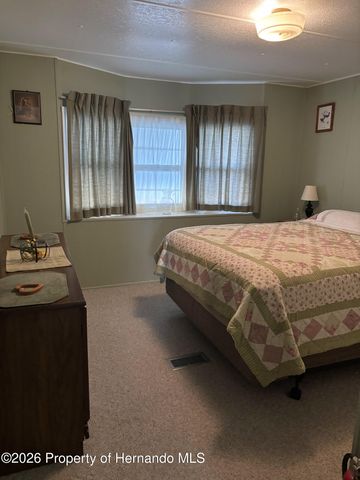 12389 Conde Drive, Brooksville, FL 34613