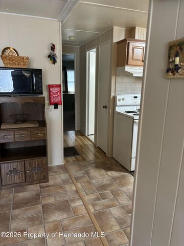 12389 Conde Drive, Brooksville, FL 34613