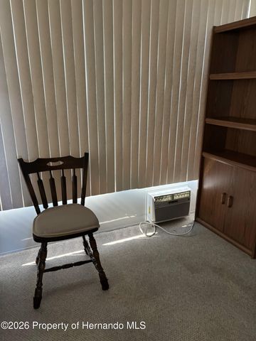 12389 Conde Drive, Brooksville, FL 34613