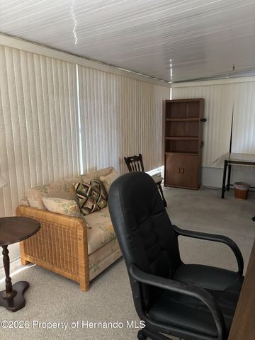 12389 Conde Drive, Brooksville, FL 34613