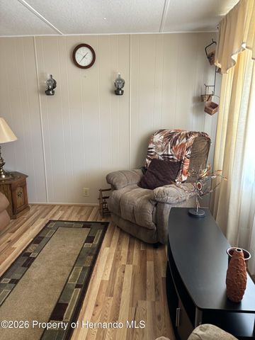 12389 Conde Drive, Brooksville, FL 34613